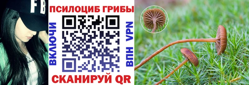 Галлюциногенные грибы Psilocybine cubensis  Фролово 