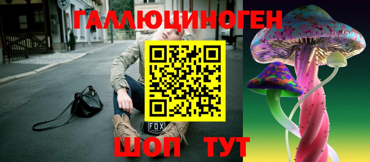 Фролово  Псилоцибиновые грибы MAGIC MUSHROOMS  Вход с VPN 