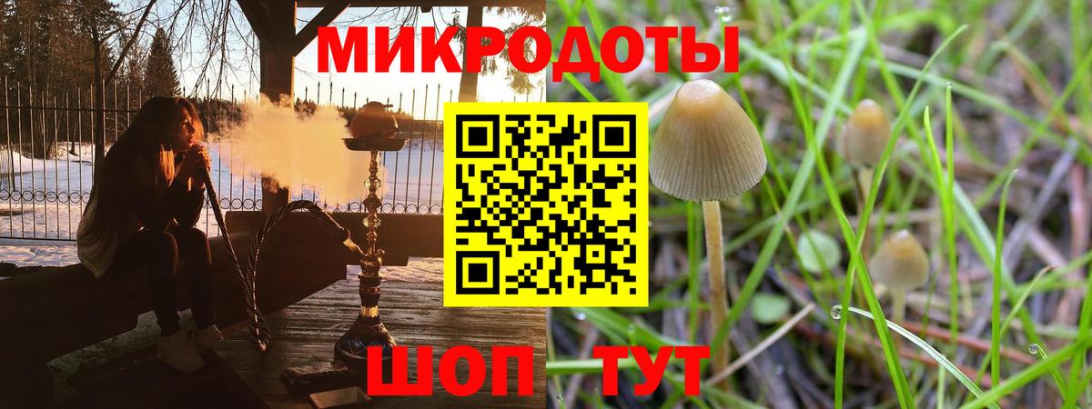 Псилоцибиновые грибы Psilocybine cubensis Фролово